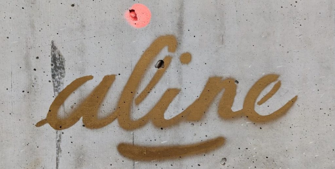 Aline R trospective Aline R trospective